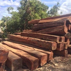 Gỗ Căm Xe Và Ứng Dụng Gỗ Căm Xe