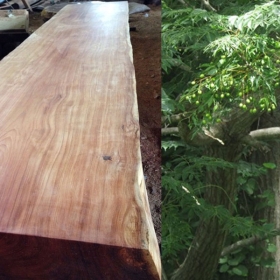 GỖ XOAN ĐÀO VÀ ỨNG DỤNG TRONG NỘI THẤT