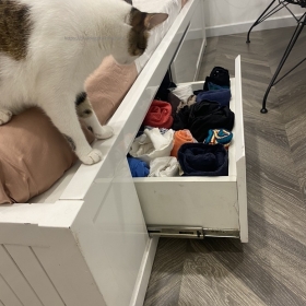 SỬA CHỮA ĐỒ GỖ PHƯỜNG PHẠM NGŨ LÃO